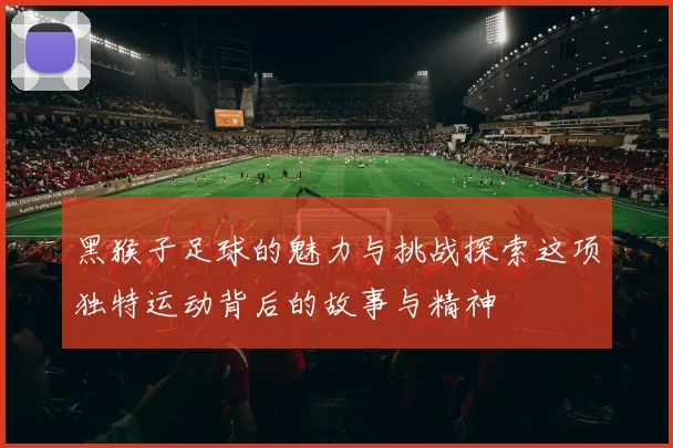 黑猴子足球的魅力与挑战探索这项独特运动背后的故事与精神
