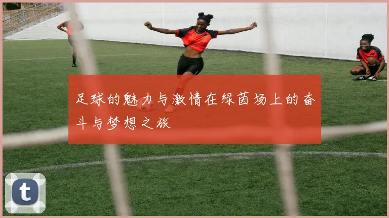 足球的魅力与激情在绿茵场上的奋斗与梦想之旅